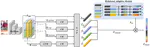 Occluded Person Re-Identification Via Relational Adaptive Feature Correction Learning